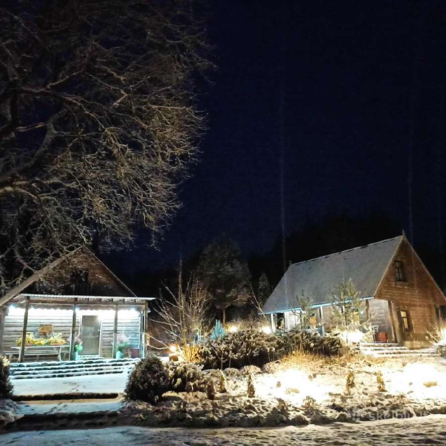Sodybos pirties kubilo nuoma šventems - nuotraukos Nr. 30