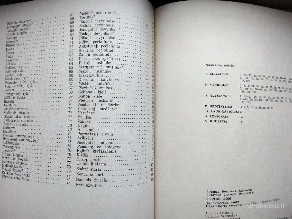 Sparnuočių namai - nuotraukos Nr. 18