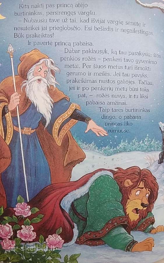 Gražuolė ir pabaisa - nuotraukos Nr. 2
