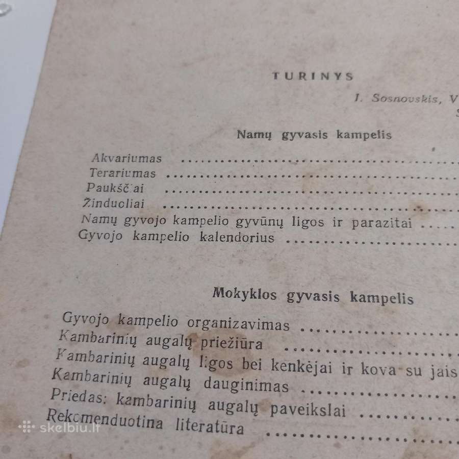 Namų ir mokyklos gyvasis kampelis - nuotraukos Nr. 2