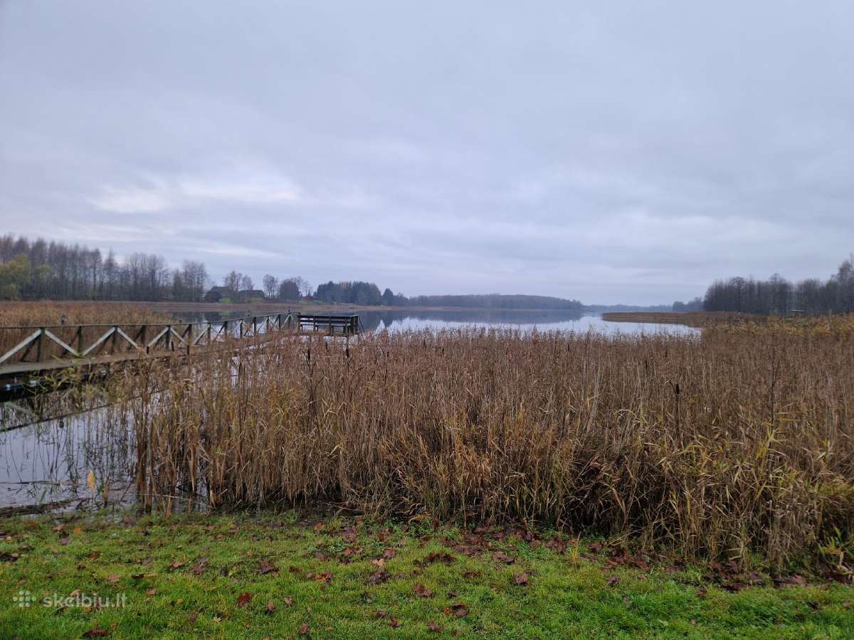 Paplūdimių įrengimas,nendrių naikinimas Molėtų raj - nuotraukos Nr. 20