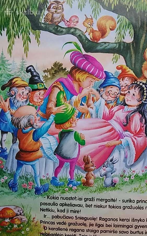 Snieguolė ir septyni nykštukai - nuotraukos Nr. 5