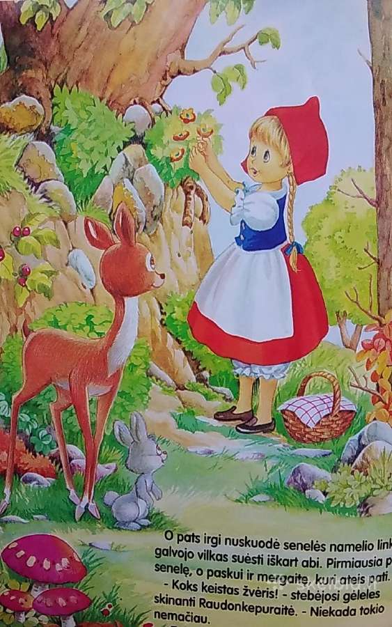 Raudonkepuraitė ir vilkas - nuotraukos Nr. 3