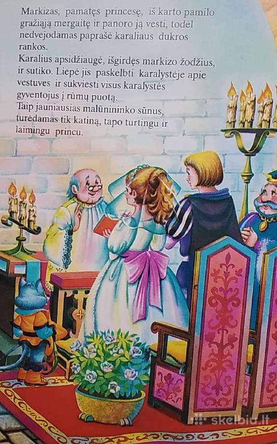 Batuotas katinas - nuotraukos Nr. 5