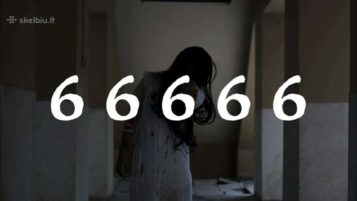Parduodu numeri 6x0 66666 - nuotraukos Nr. 2