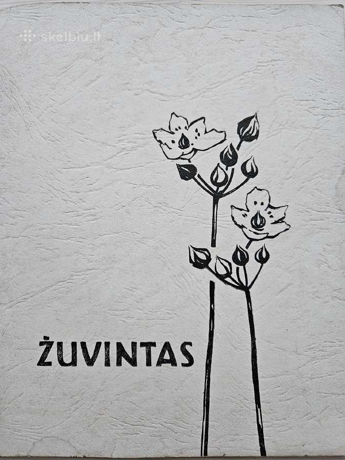 Vintažiniai albumai „žuvintas“ ir „Kuršių nerija“ - nuotraukos Nr. 7