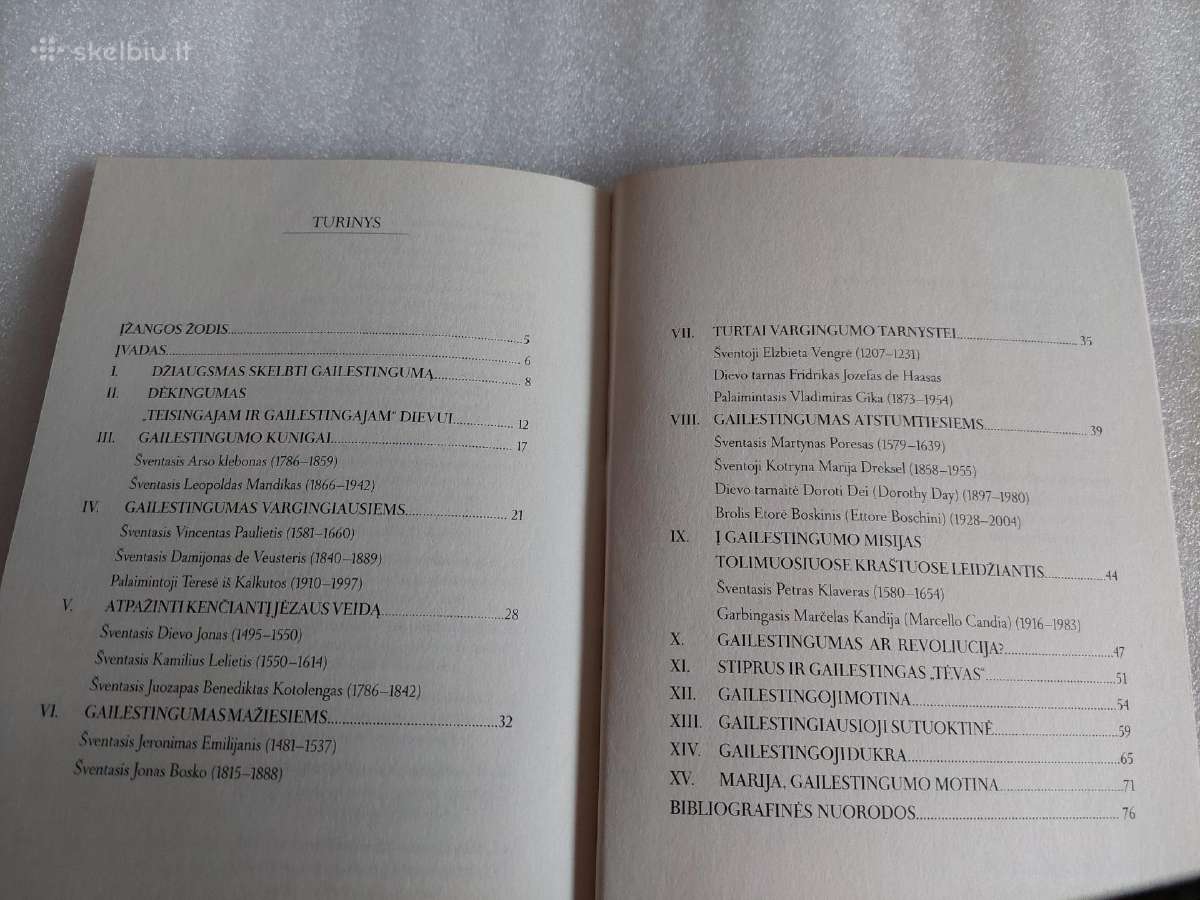Gailestingieji šventieji - nuotraukos Nr. 5