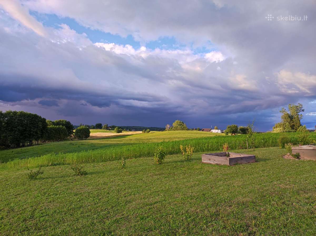 Šalto spaudimo kanapių aliejus - nuotraukos Nr. 3