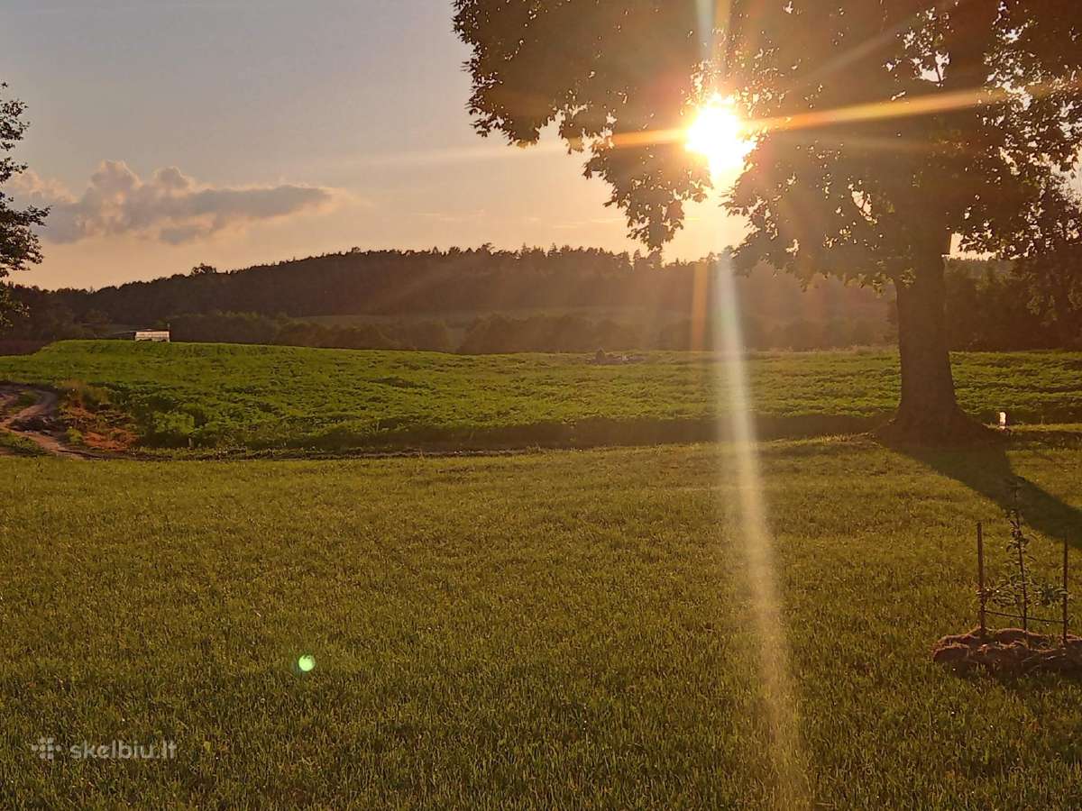 Šalto spaudimo kanapių aliejus - nuotraukos Nr. 6