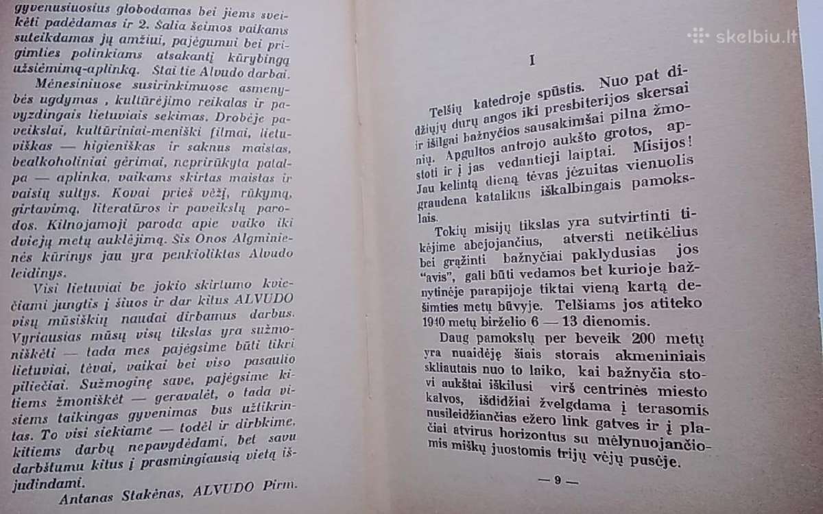 Raudonasis amaras - nuotraukos Nr. 3