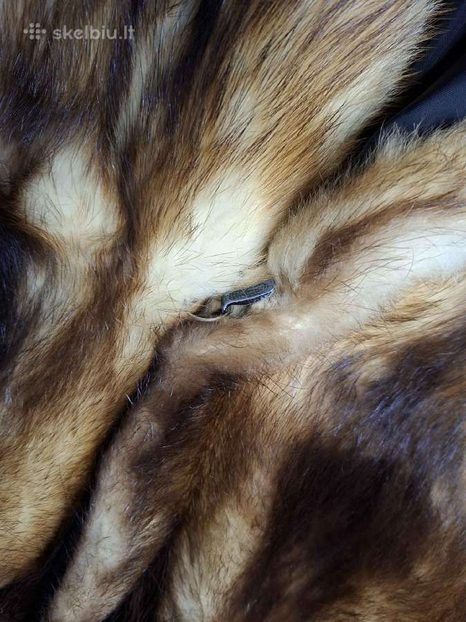 Natūralūs kailiniai iš fretkos (ferret) kailio - nuotraukos Nr. 7