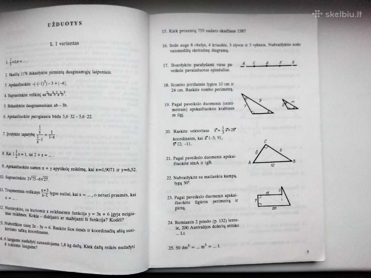 Matematikos kartojimas - nuotraukos Nr. 5