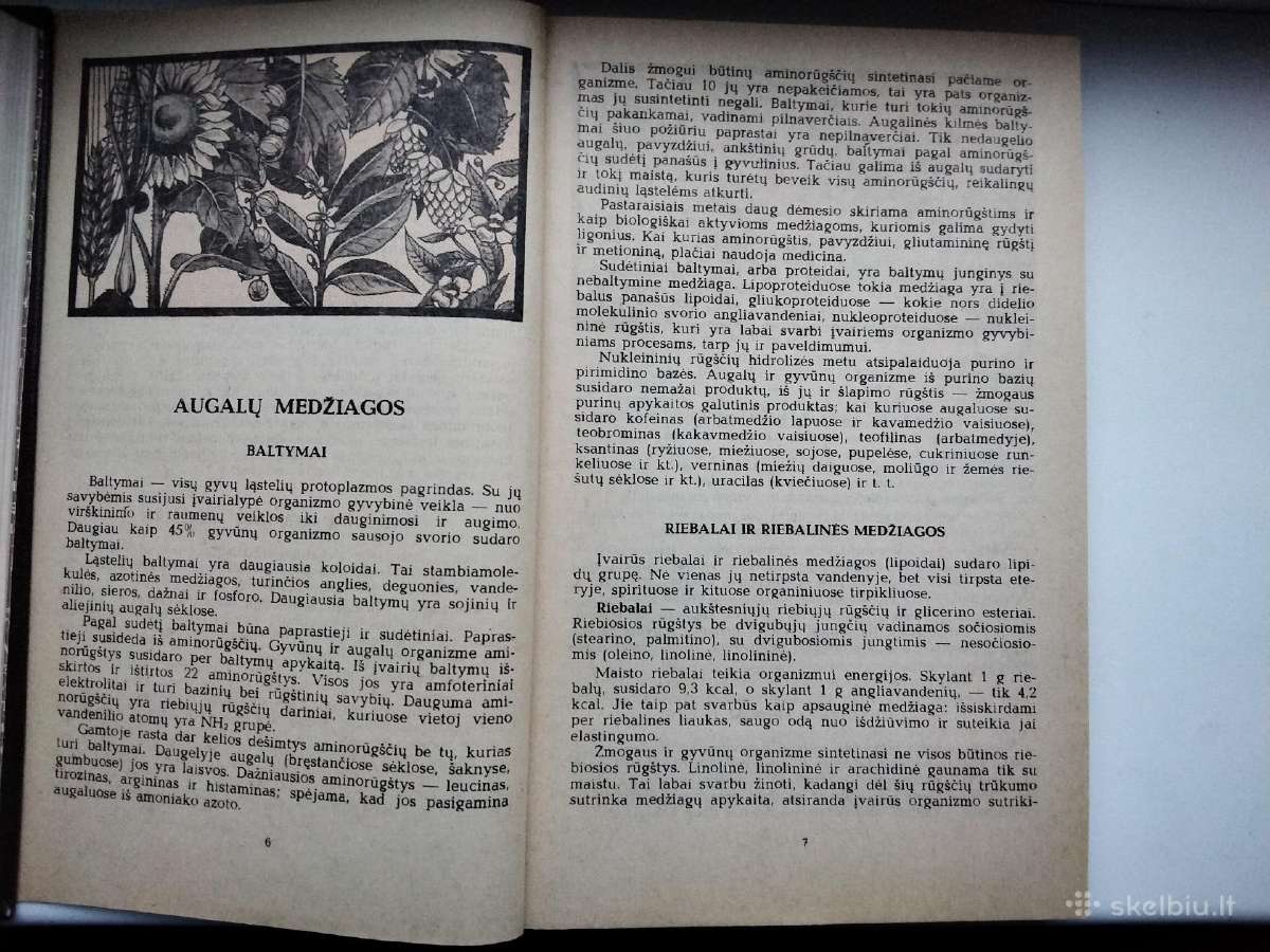 Augalų gydomosios savybės. Augalai ir kosmetika - nuotraukos Nr. 6