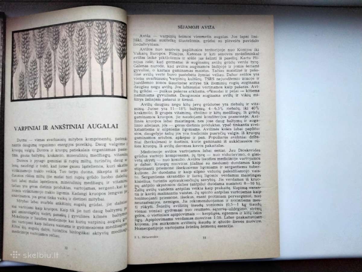 Augalų gydomosios savybės. Augalai ir kosmetika - nuotraukos Nr. 8