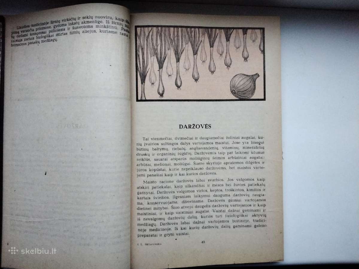 Augalų gydomosios savybės. Augalai ir kosmetika - nuotraukos Nr. 9