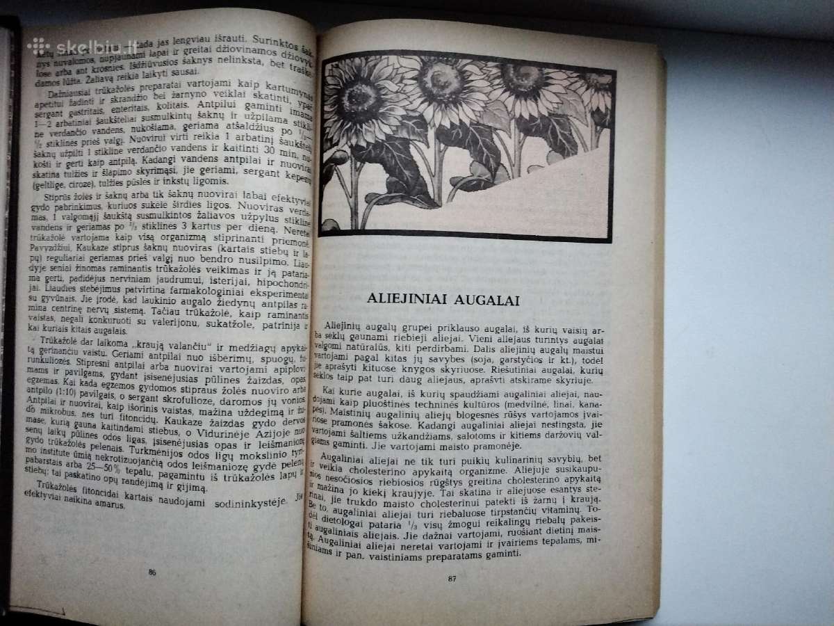Augalų gydomosios savybės. Augalai ir kosmetika - nuotraukos Nr. 12