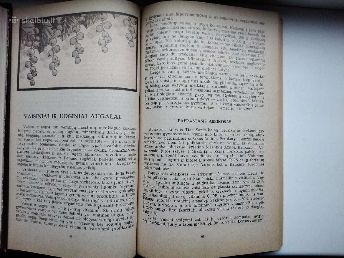 Augalų gydomosios savybės. Augalai ir kosmetika - nuotraukos Nr. 13