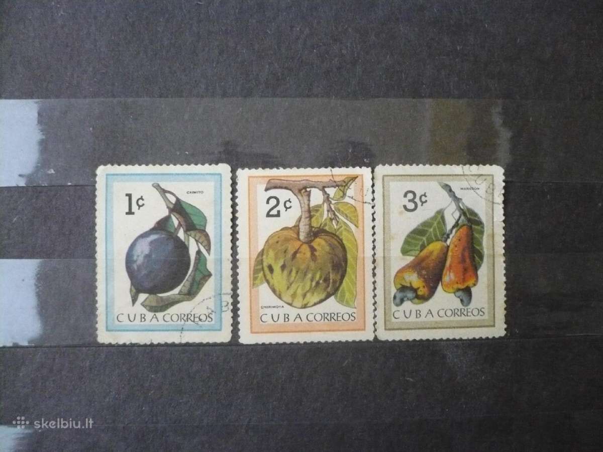 1963 m. Kubos vaisiai