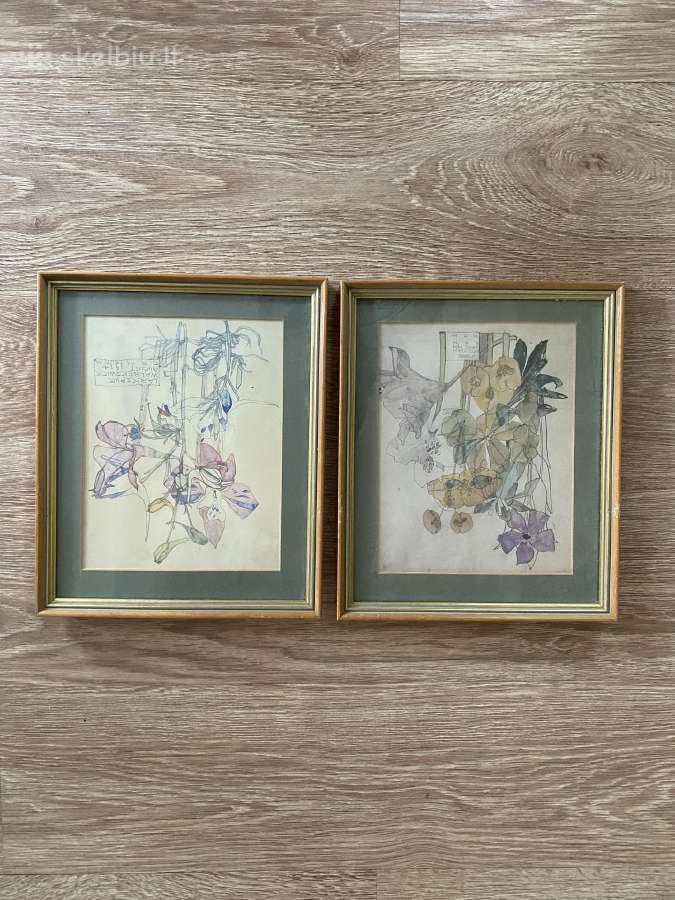 Vintažiniai Mackintosh reprodukcijų paveikslai