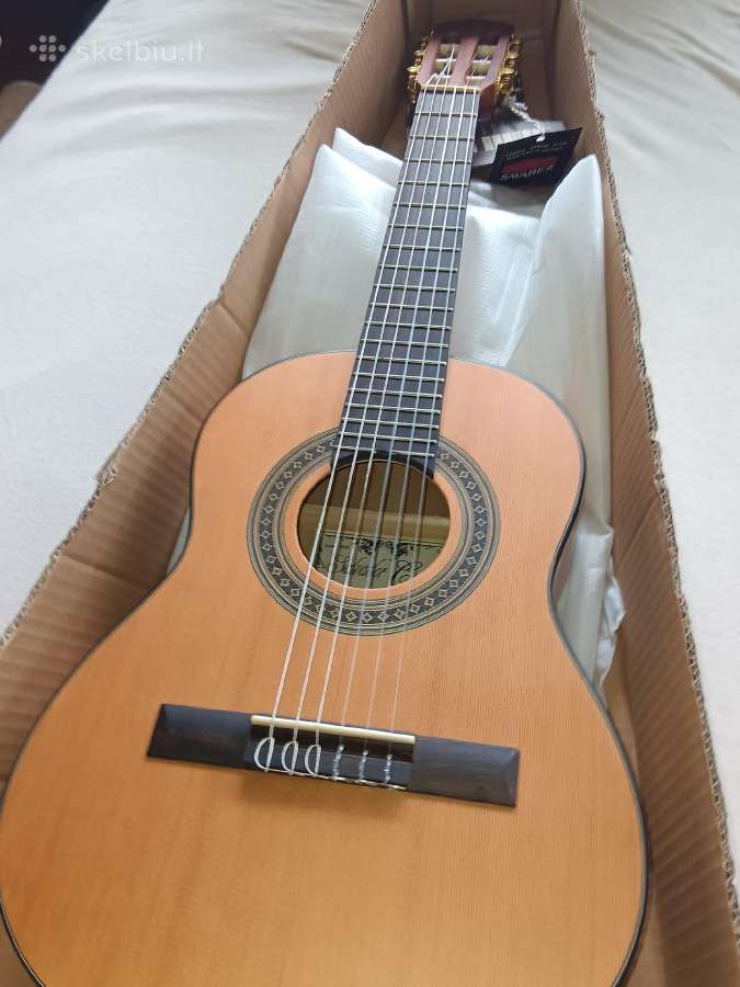 Gitara cortez Cc-06-pa - nuotraukos Nr. 3