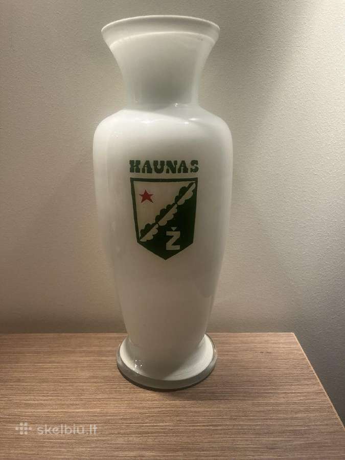 Vaza jiesos zalgiris