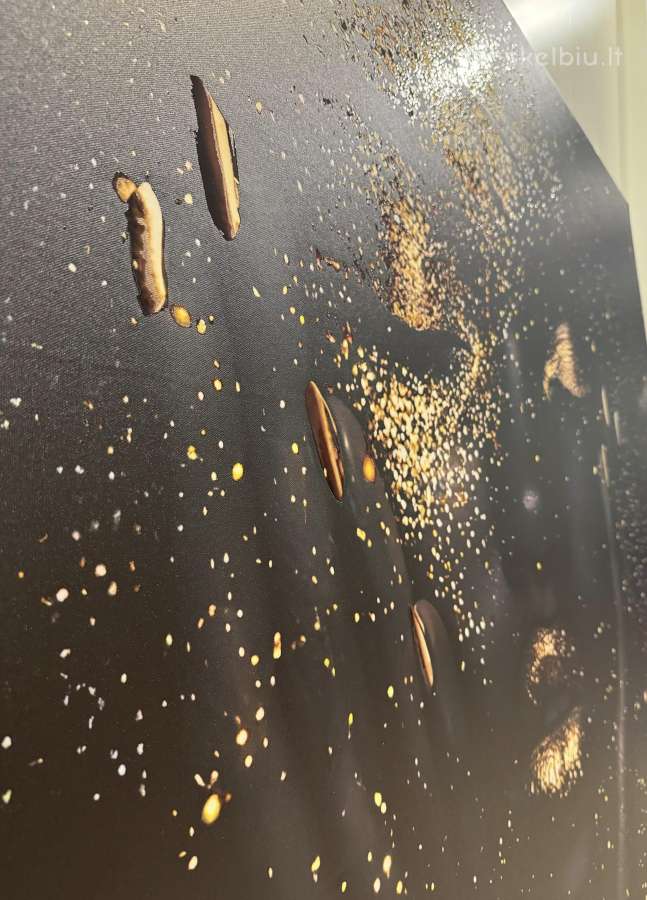 200x140 cm Drobės paveikslas su laku - nuotraukos Nr. 9