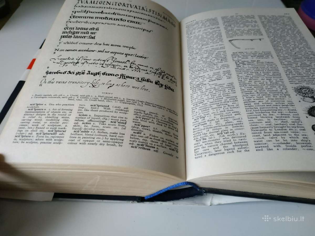 The English Illustrated Dictionary - nuotraukos Nr. 11