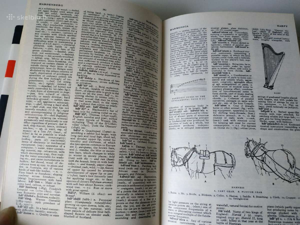 The English Illustrated Dictionary - nuotraukos Nr. 6