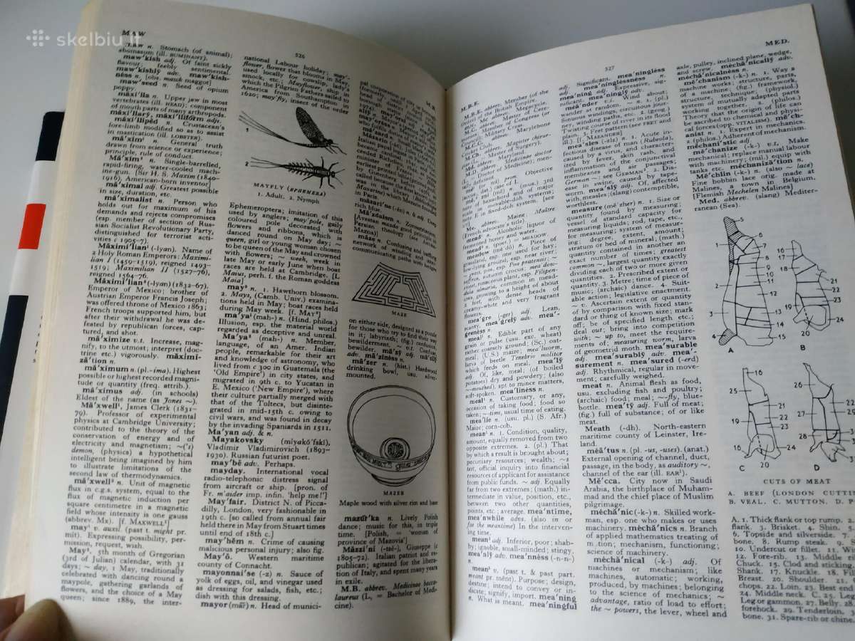 The English Illustrated Dictionary - nuotraukos Nr. 7