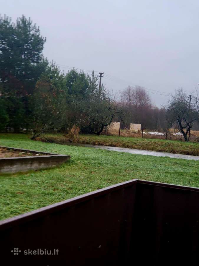 Medžiai nusipjovimui - nuotraukos Nr. 3