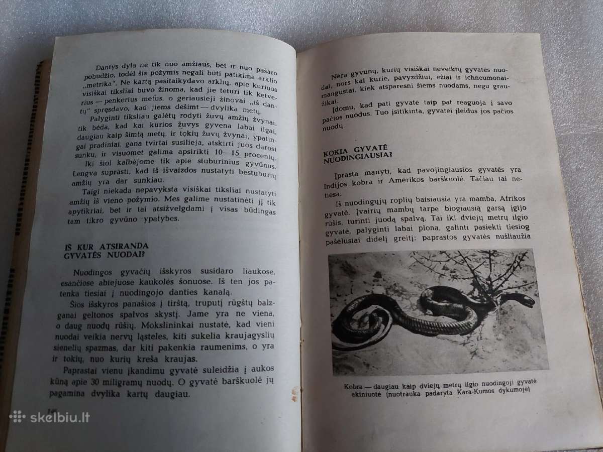 Kas,kada,kodėl? - nuotraukos Nr. 5