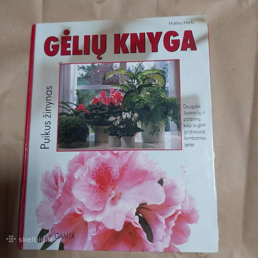 Knyga