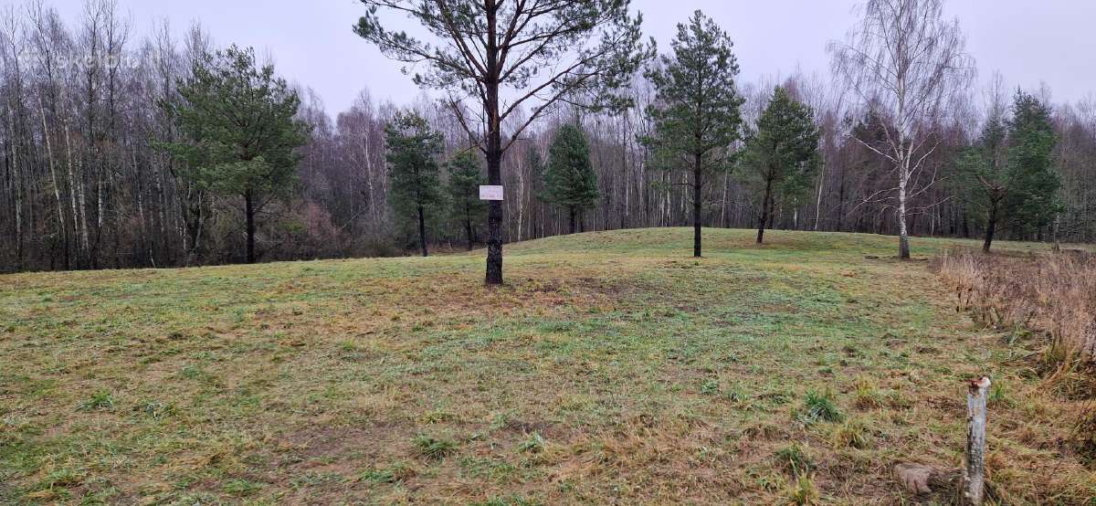 Traku r. Šulininku k, prie ež. 1,23ha investicijai - nuotraukos Nr. 7