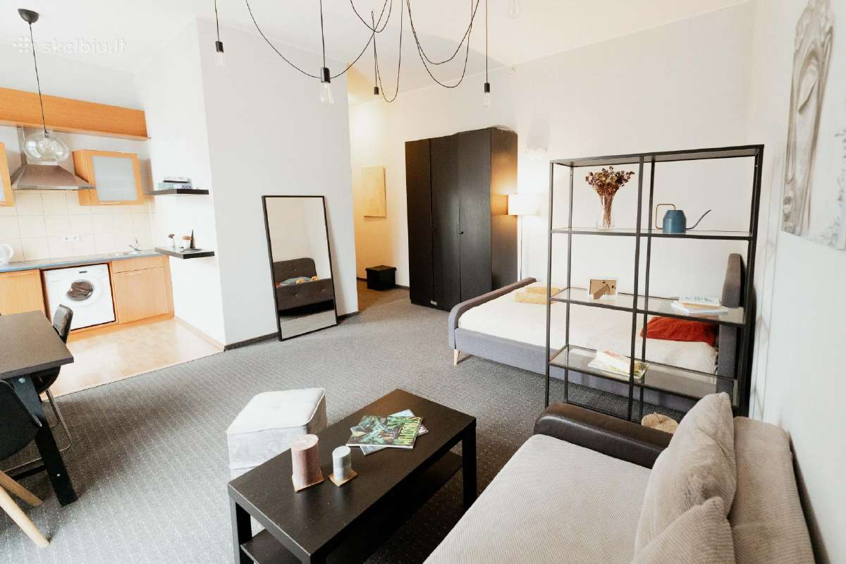 Apartamentai Vilniaus centre ir aplink - nuotraukos Nr. 9