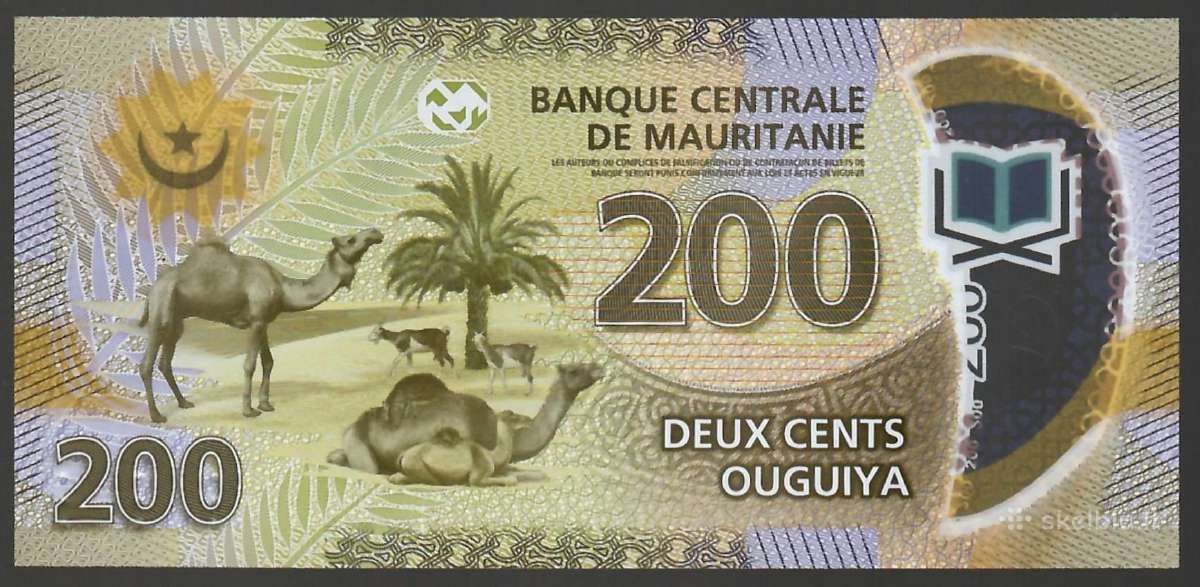 Ivairus banknotai - nuotraukos Nr. 12