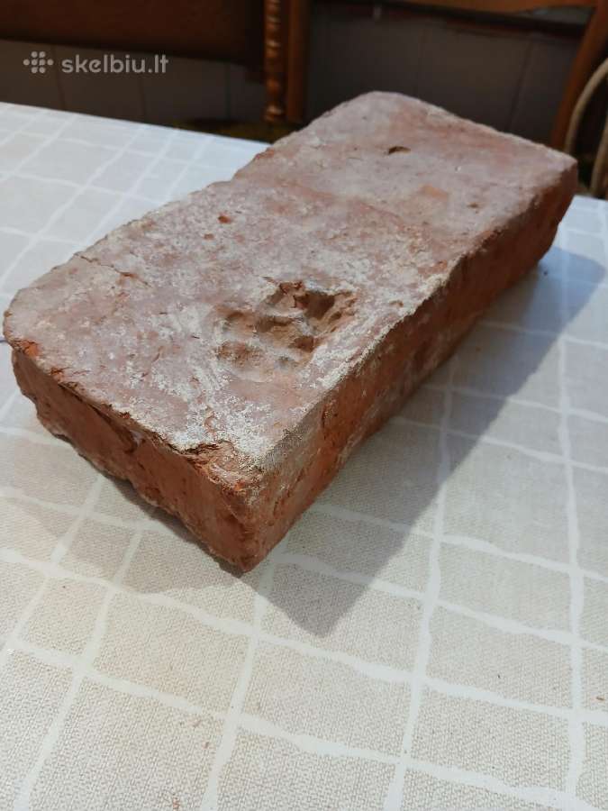 Carinė plyta su šuns pėda