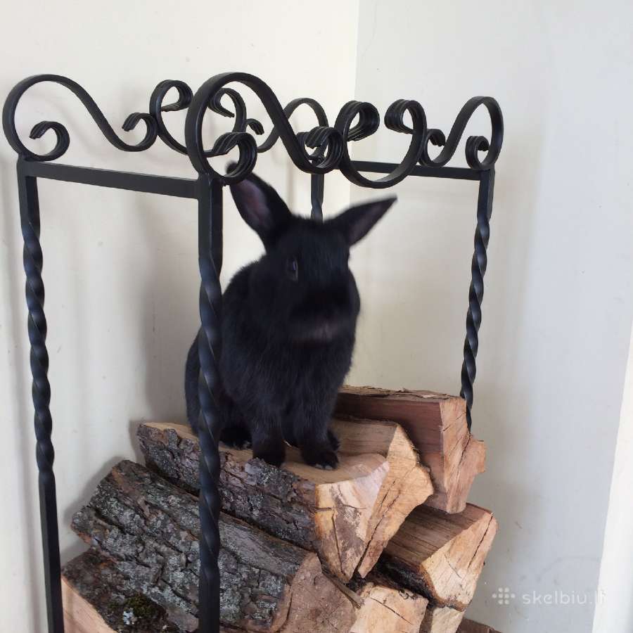 Malkinė