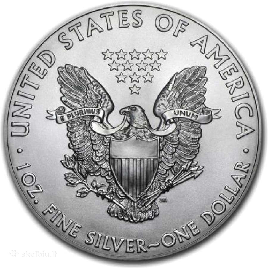 Sidabrines monetos Amerikos Erelis J 31,1 g. 1 oz. - nuotraukos Nr. 2