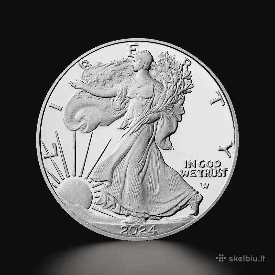 Sidabrines monetos Amerikos Erelis J 31,1 g. 1 oz. - nuotraukos Nr. 3