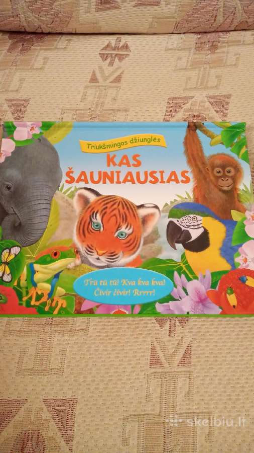 Kas šauniausias