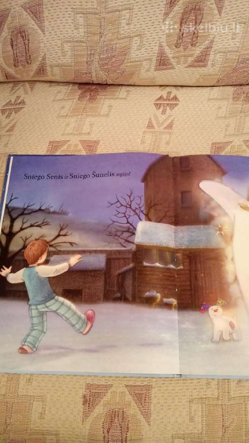 Sniego Senis ir Sniego Šunelis - nuotraukos Nr. 6