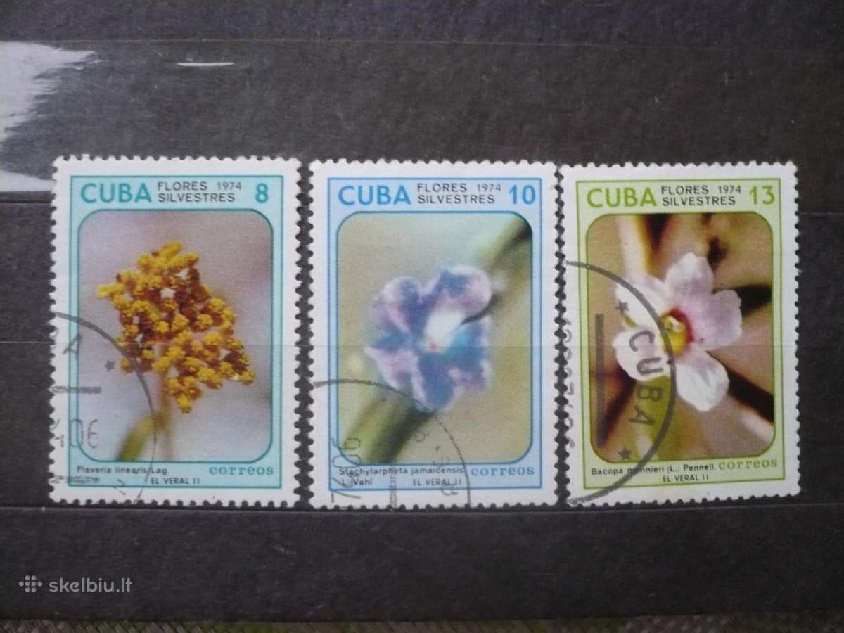 1974 m. Laukinės gėlės
