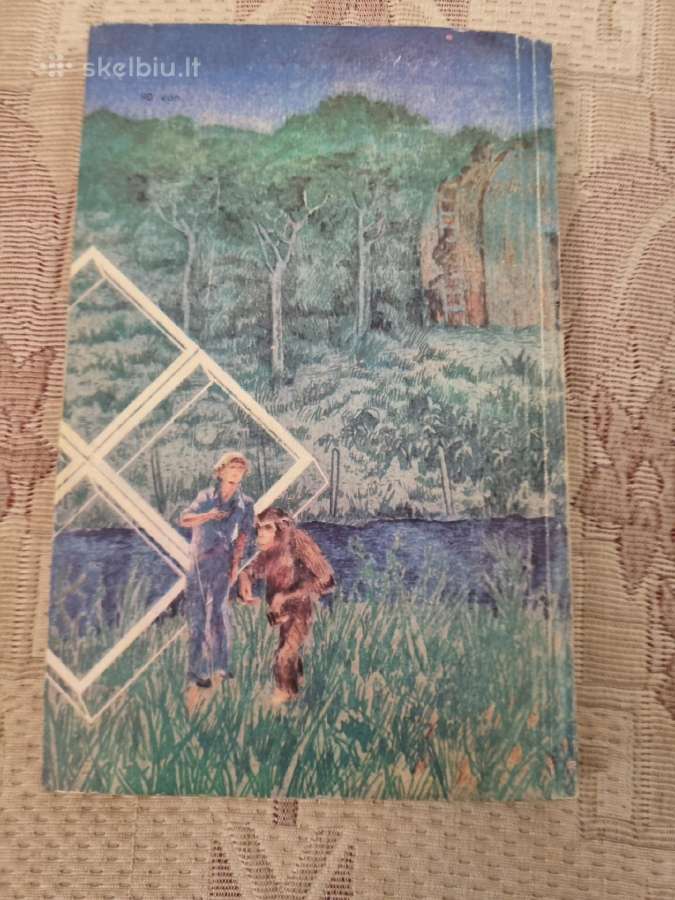 Bezdžionės , Žmogus ir Kalba - nuotraukos Nr. 4
