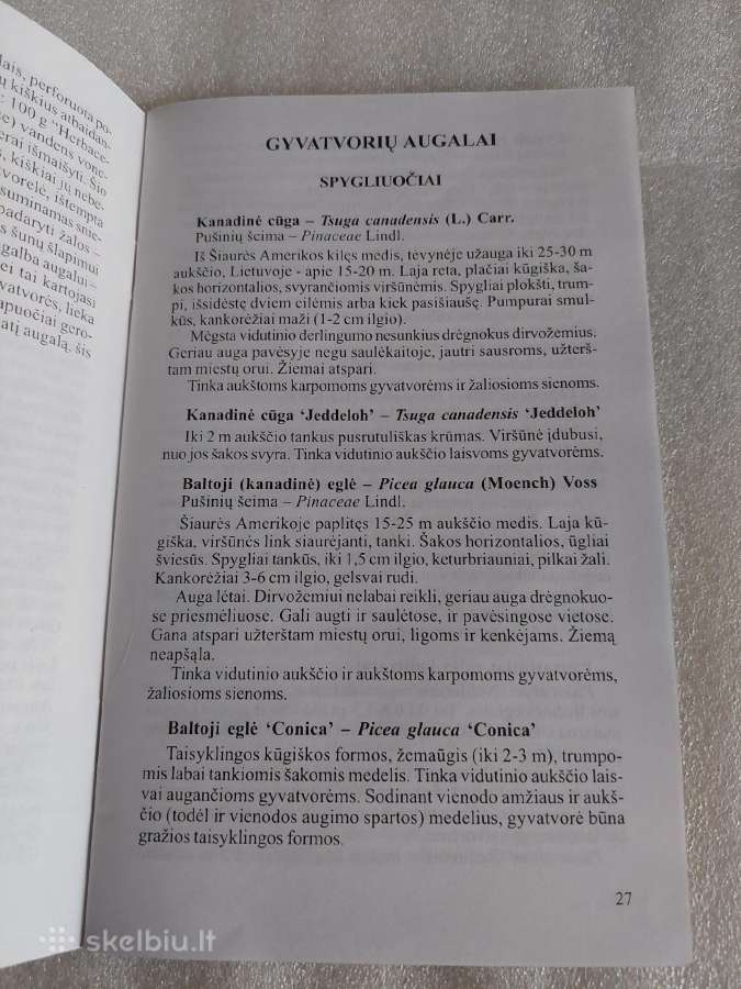 Gyvatvorės - nuotraukos Nr. 5