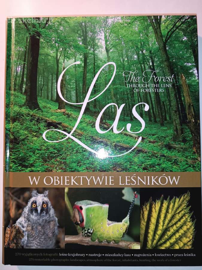 Miškas (albumas anglų ir lenkų kalbomis)
