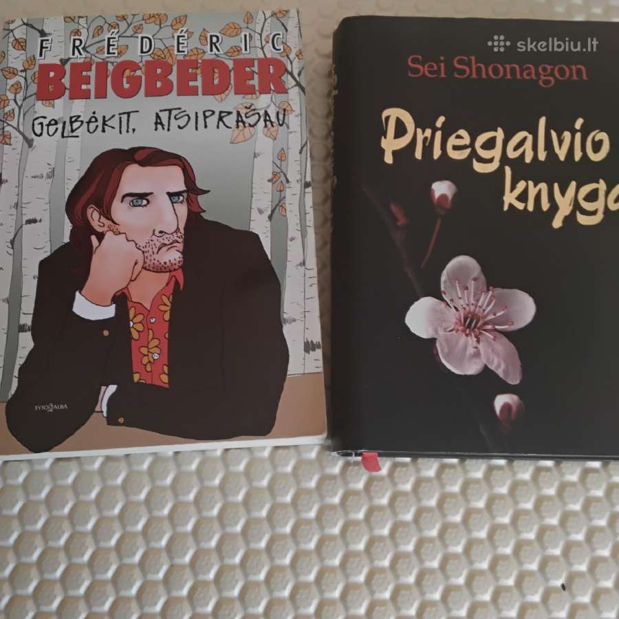 Grožinė literatūra - nuotraukos Nr. 2