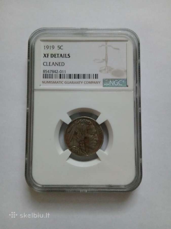 JAV 1919 Buffalo 5c Ngc