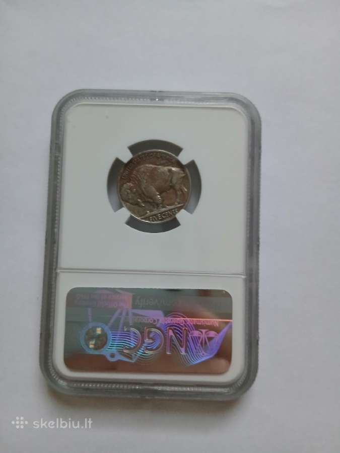 JAV 1919 Buffalo 5c Ngc - nuotraukos Nr. 2