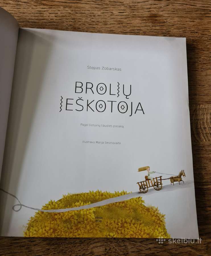 Brolių ieškotoja (Stepas Zobarskas) - nuotraukos Nr. 3
