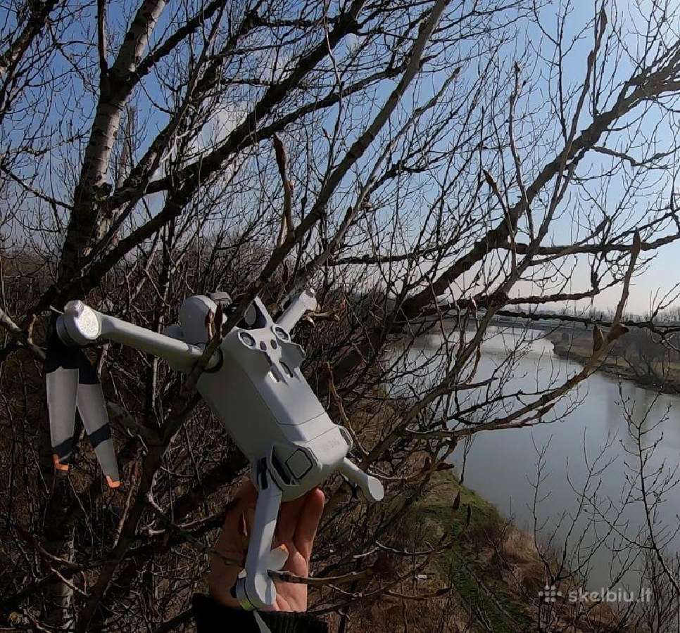 Dronų/augintinių iškėlimas iš medžių